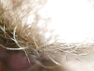 �������� ���� � �����